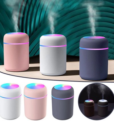 H2O Humidifier